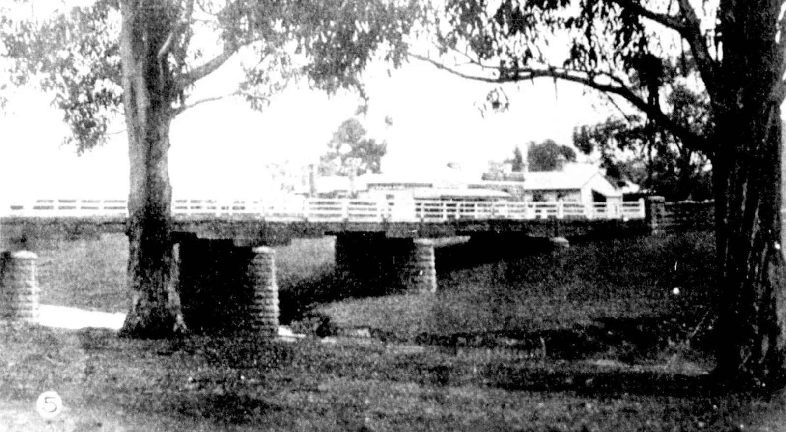 A newspaper photograph of a long low timber road bridge with white railings on squat round stone piers, seen from the grassy creek bank between two big gums, with the town’s buildings beyond.